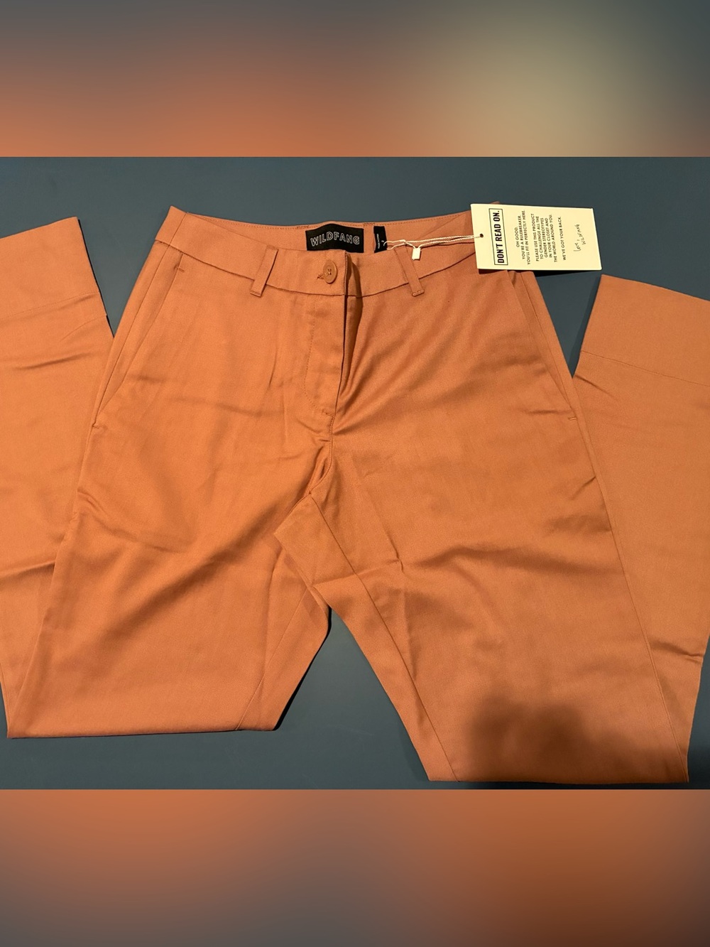 Wildfang Men's Women’s Burnt Sienna Orange Chinos 2 NWT